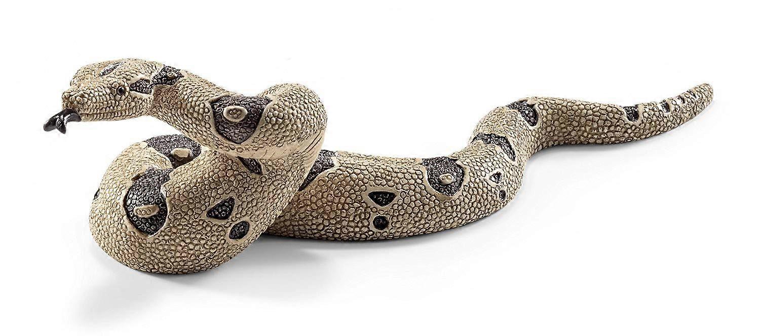 Boa Constrictor Snake - Large Size, Green Color, Non-Venomous Reptile for Exotic Pets and Snake Enthusiasts