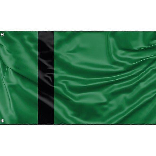 Flagge des Sultanats Delhi FG1908