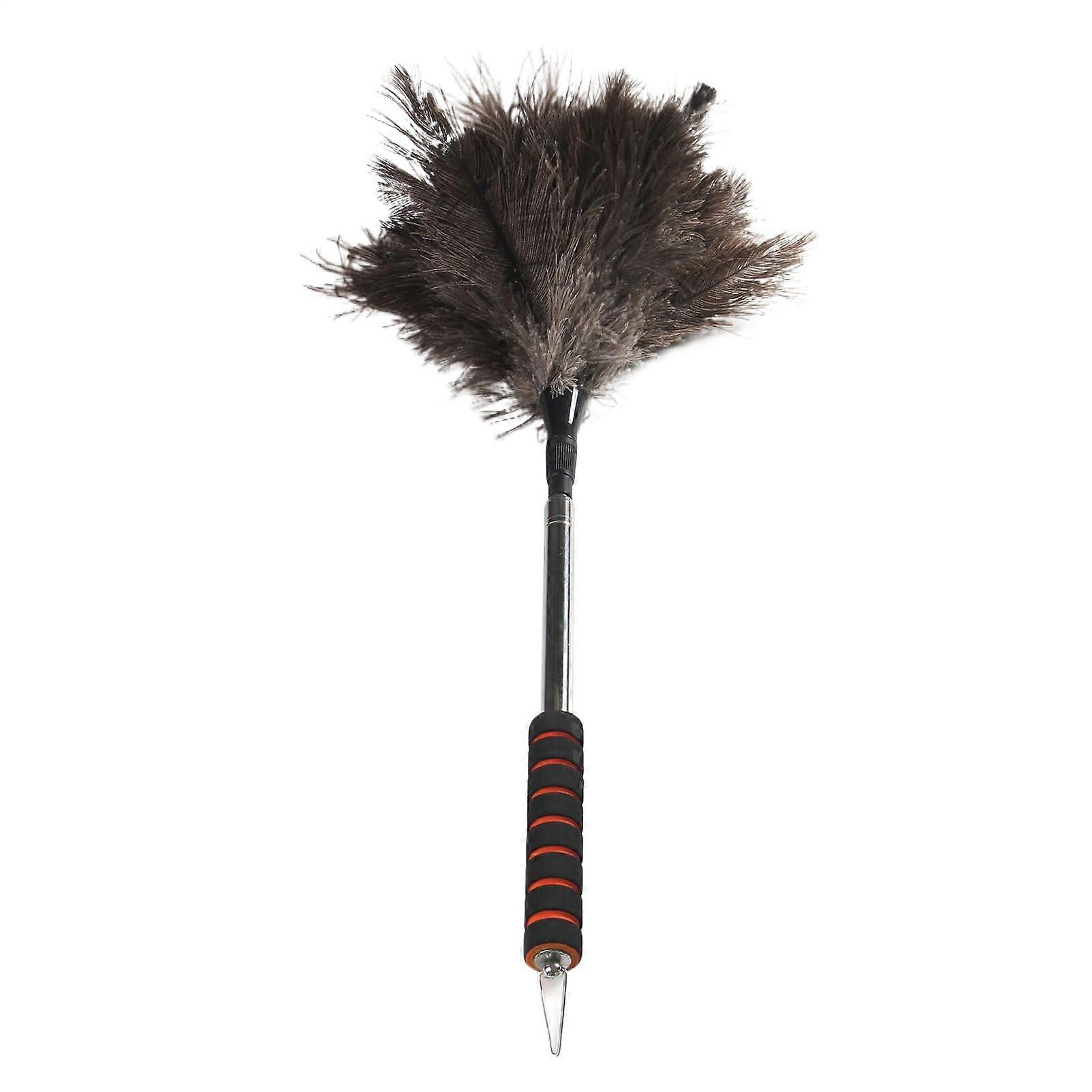 Extendable Duster with Telescopic Handle, AntiStatic Washable Head for  Ceilings and Corners