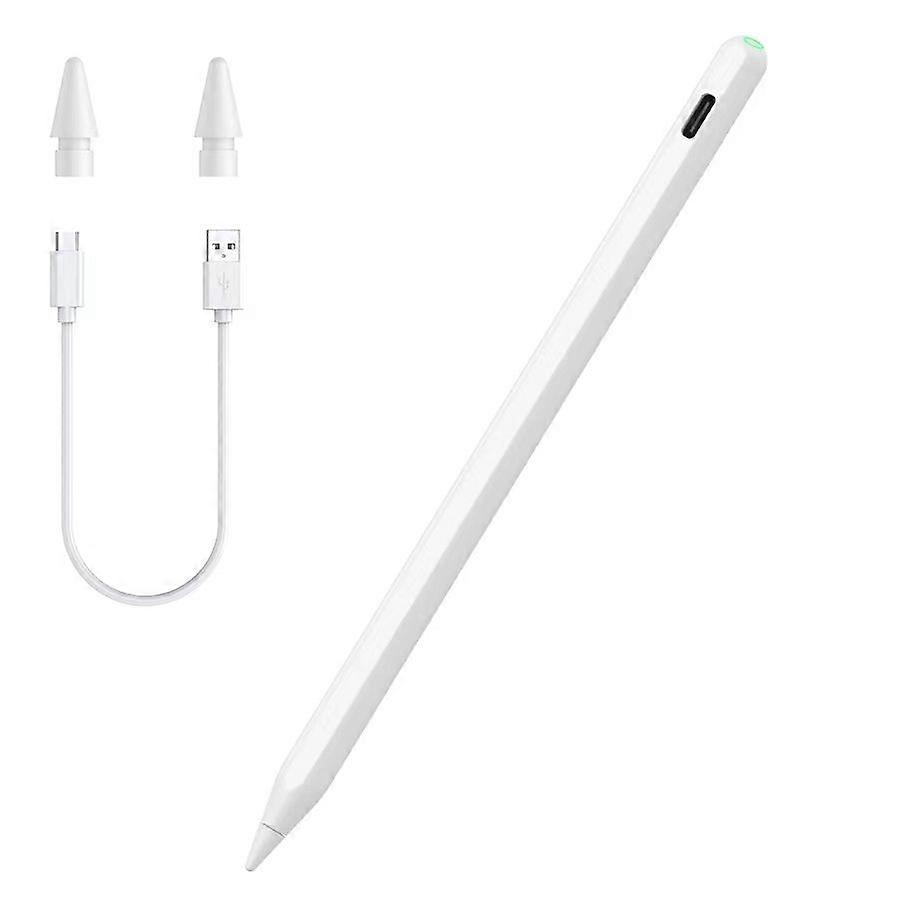 Stylus Pen with Replacement Tips for iPad Pencil