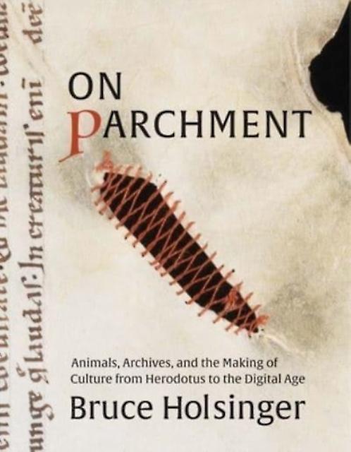 On Parchment by Bruce Holsinger Hardback Book