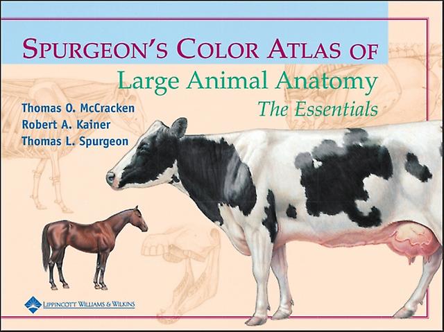 Spurgeons Color Atlas Of Large Animal Anatomy by Thomas L. Spurgeon Paperback
