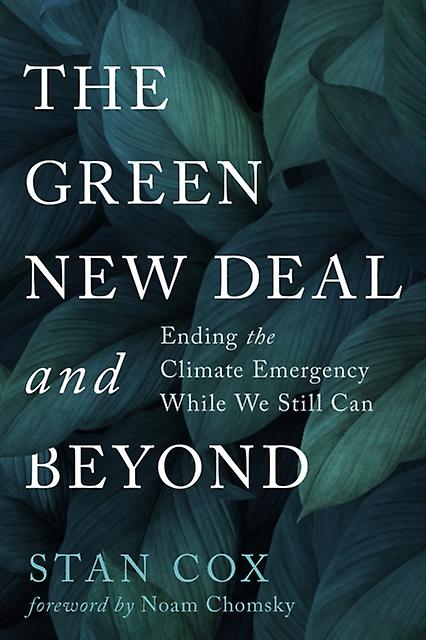 The Green New Deal And Beyond by Stan Cox Paperback