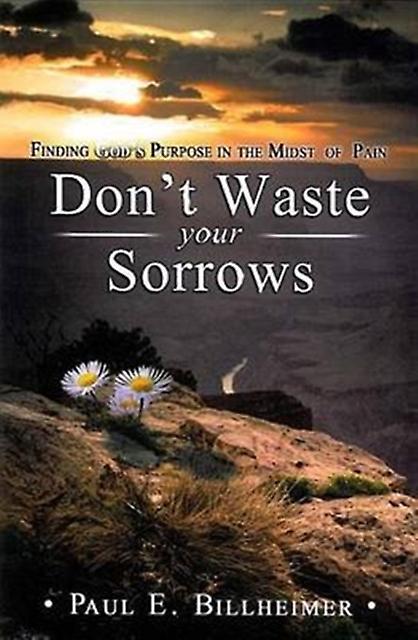 Dont Waste Your Sorrows by Paul E. Billheimer Paperback