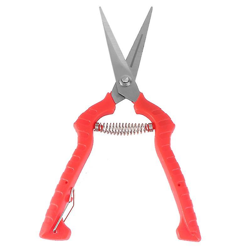 1pcs Fruit Pick Scissors