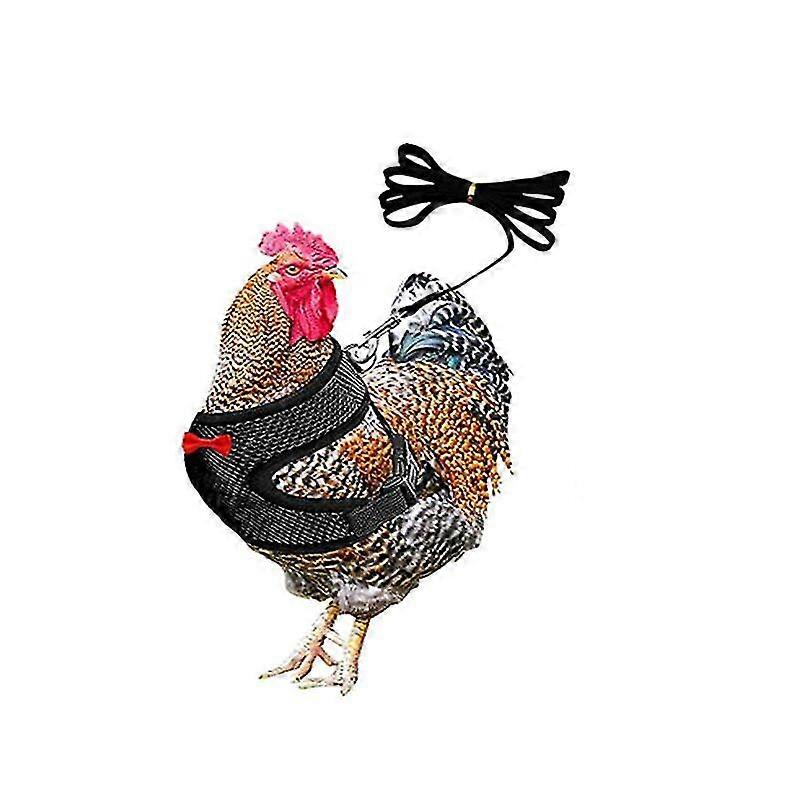 Adjustable Chicken Harness With Leash- Comfortable Hen Vest Breathable Mesh