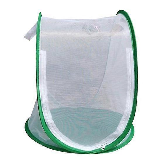 Insect Cage Foldable Easy to Carry Green Insect Mesh Cage Terrarium for Garden
