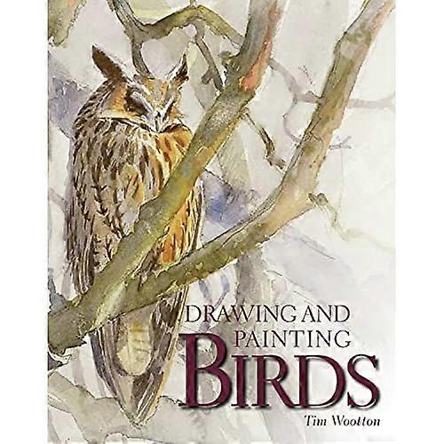 Tekenen en schilderen vogels