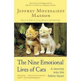 Neun Gefühlsleben von Katzen: Eine Reise ins Katzenherz