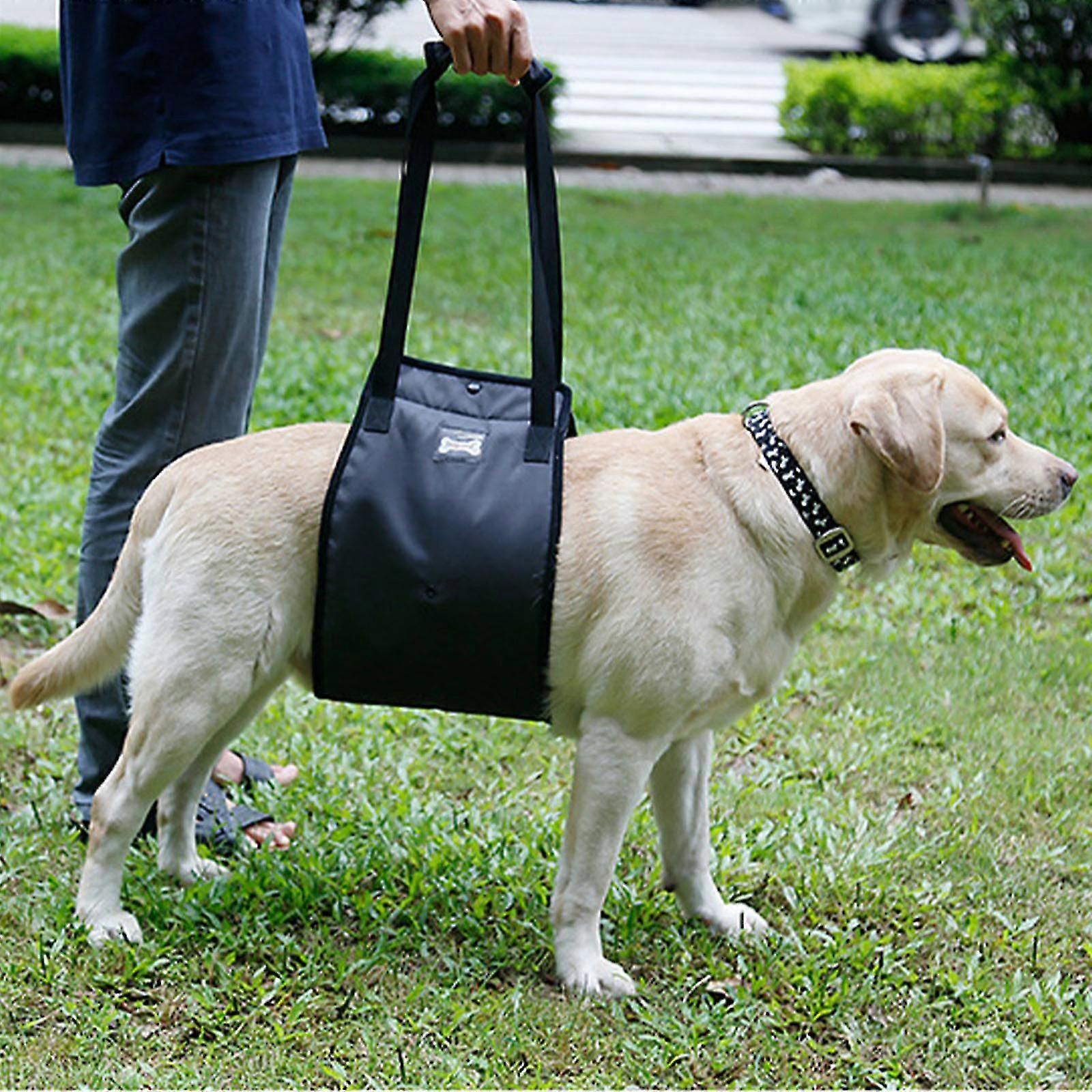 Yardımcı Köpek Koşum Köpek Bacak Yaralanma Koruma Pet Yürüyüş Yardımı Eski Köpek Yürüyüş Yardımı Köpek Malzemeleri