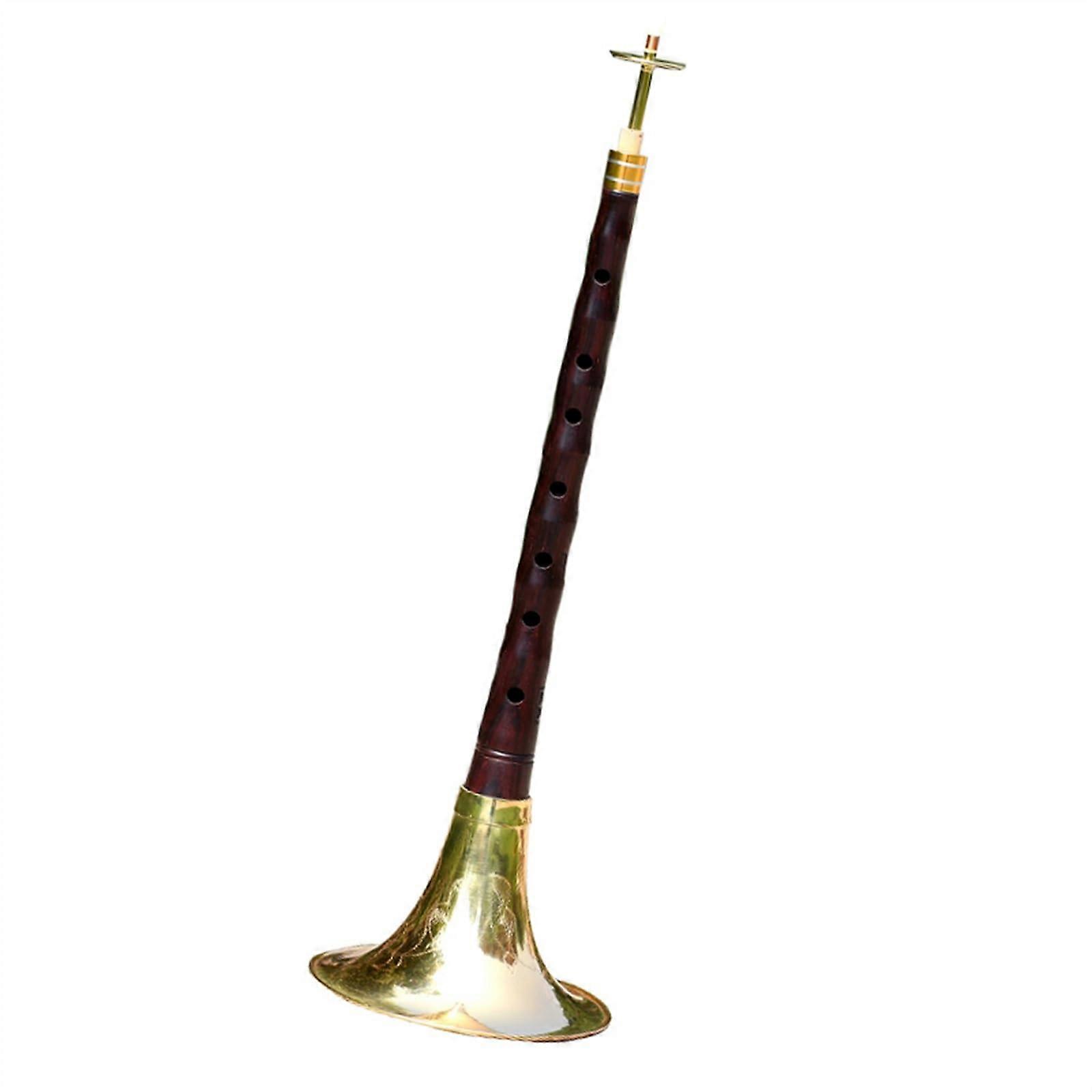 Zitan Suona Woodwind Instrument Set, Professional Folk Suona Horn in D Key, High-Quality Wooden Suona for Musicians
