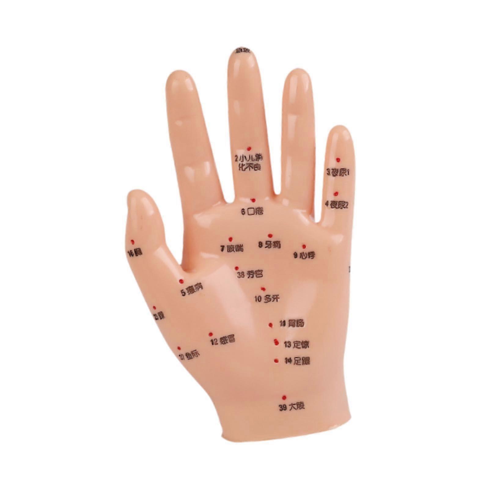 Display window puppet hand model Hand acupuncture model LABLIEBEN multifunctional study smooth teaching aid Chinese meridians, 15x8.5 cm