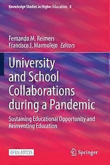 University And School Collaborations During A Pandemic Paperback