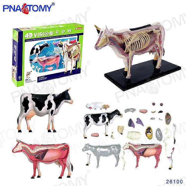 4Dマスター動物パズル牛のおもちゃ獣医解剖模型取り外し可能なDIY子供ギフト教育ツール学校使用26100
