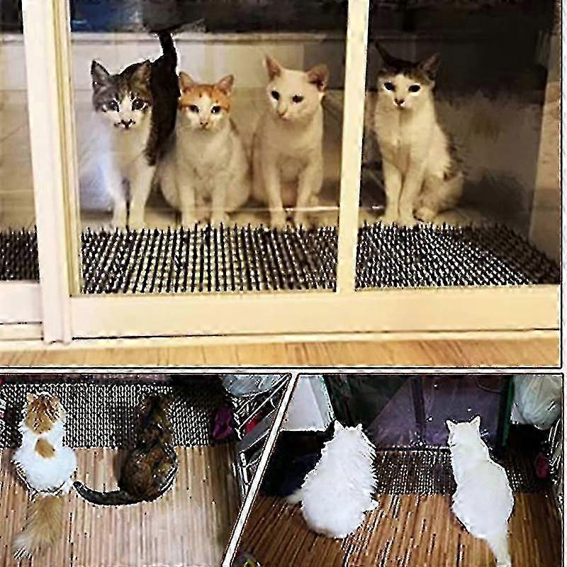 2 Meters Cat Mats With Spikes Prickle Strips Anti-cat Digging Stopper For Garden Protect Plants