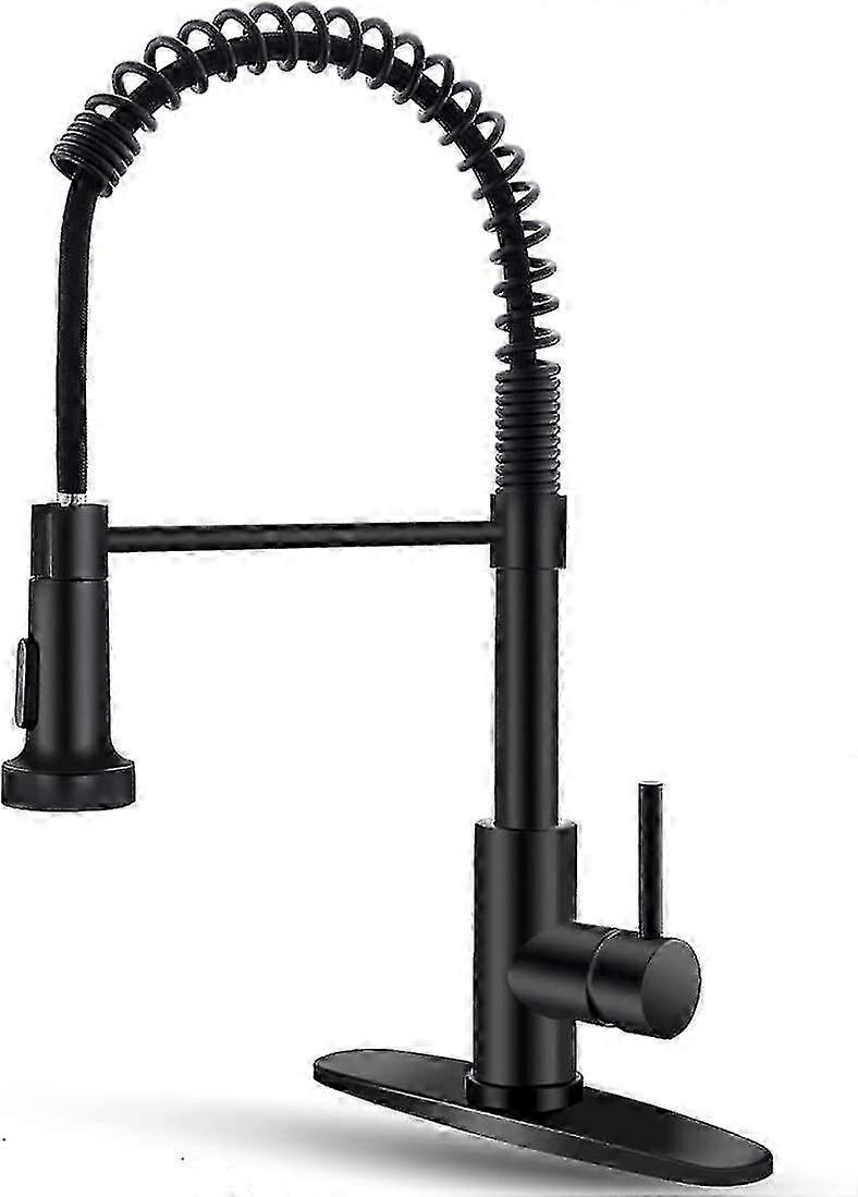 Kitchen Faucet With Pull Down Sprayer Black Stainless Steel Single Handle Pull Out Spring Sink Faucets