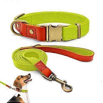 Collare Qianruida e guinzaglio in nylon traspirante: comodi e sicuri per i cani