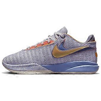 Nike LeBron 20 EP "Paars en Goud" DJ5422-500