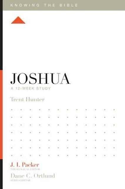 Joshua by Trent Hunter Paperback Book