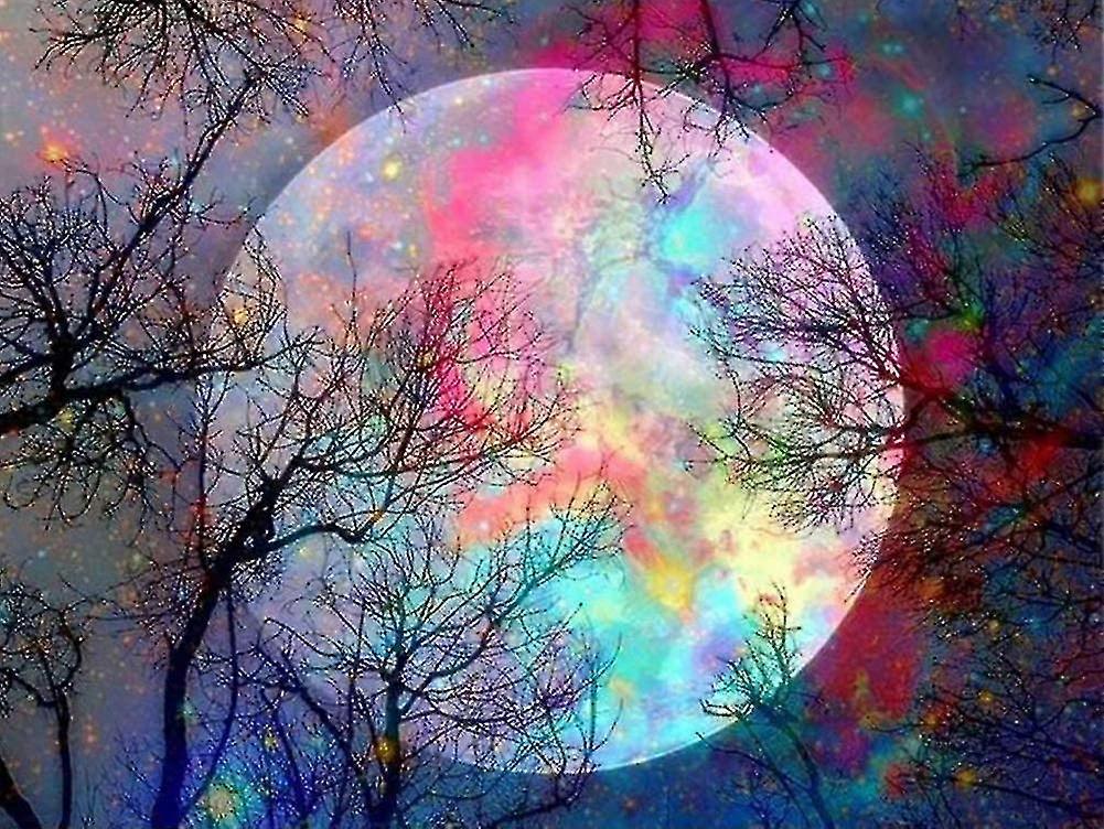 Painting By Number For Adults, Diy Oil Paint Paint By Number Kits On Canvas With Brushes, Moon 16 X 20 Inches Without Framework