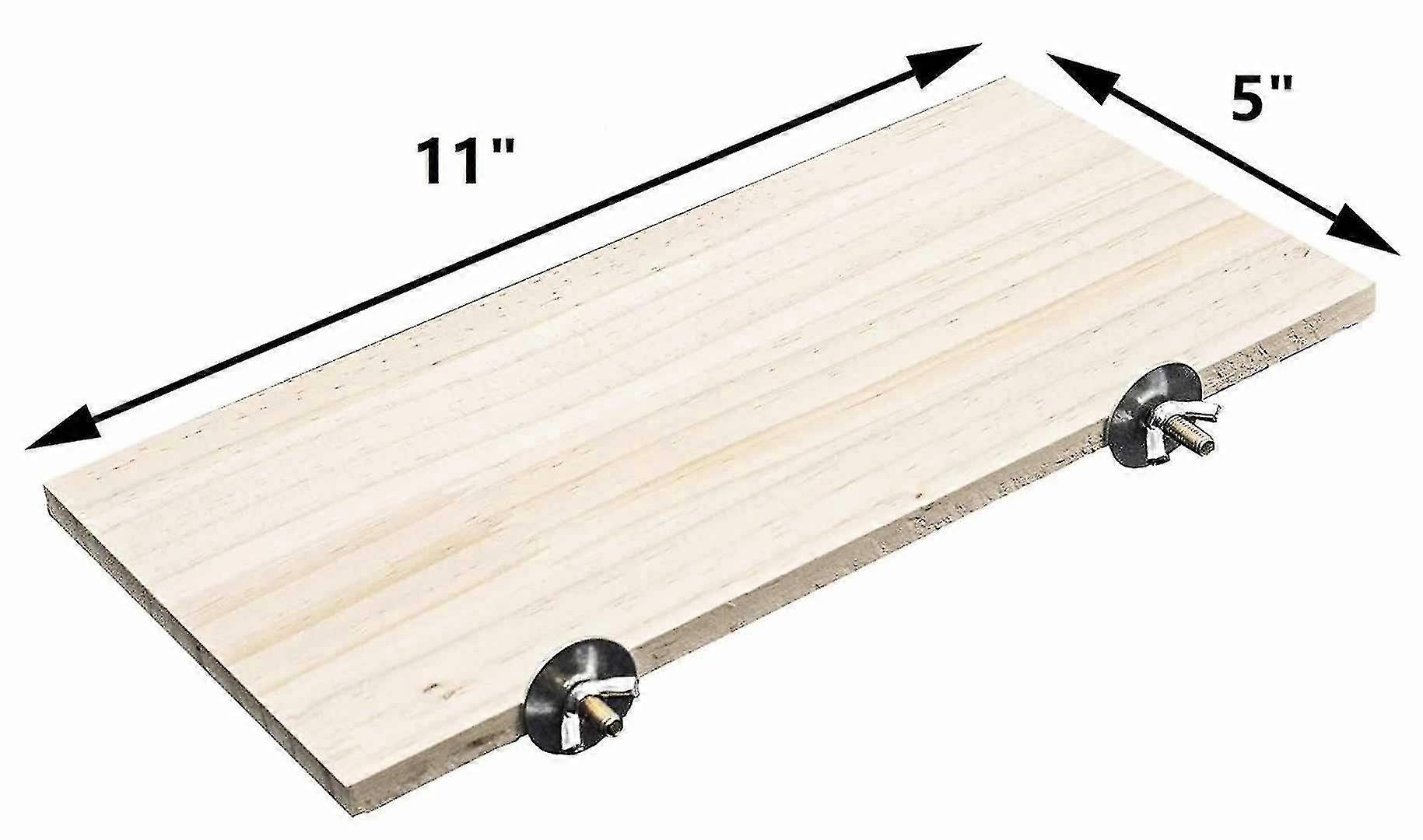 Hamster Squirrel Glider Thin Springboard