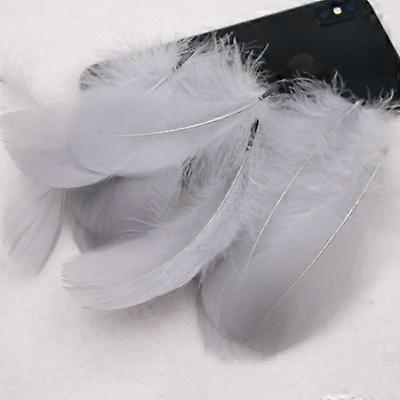 Sowder Plumas de Ganso Natural Accesorios de Ropa Pack de 100 (gris)