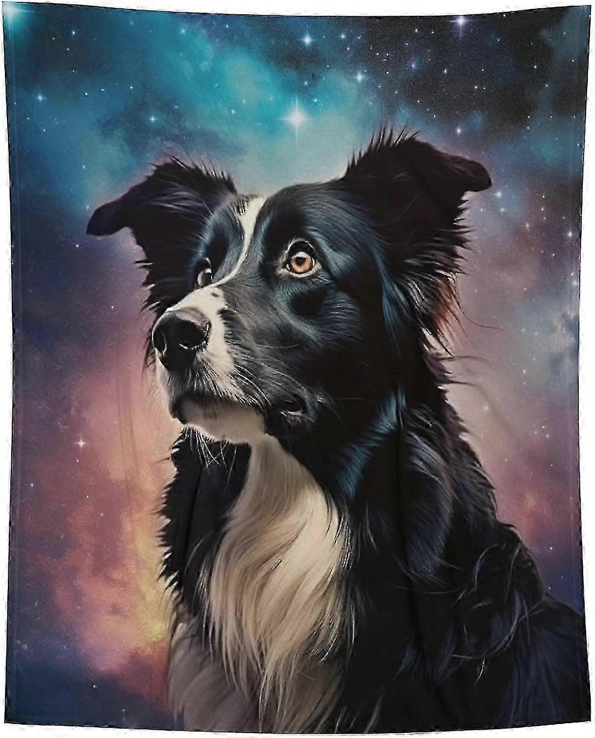 t3415 Blanket Border Collie Blanket Blanket Anti Pilling Fleece
