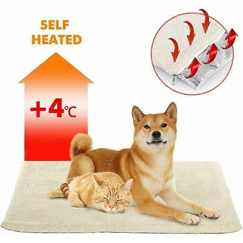 Self-heating Cushion, Thermal Heating, Blanket