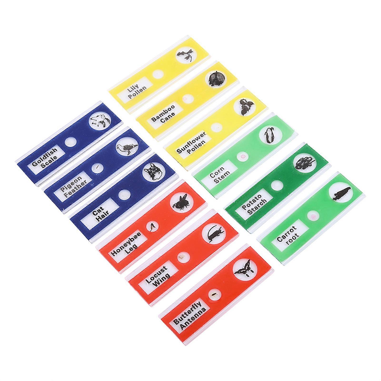 Lot de 12 lames de microscope préparées en plastique pour animaux, insectes, fleurs, plantes, couleurs mélangées