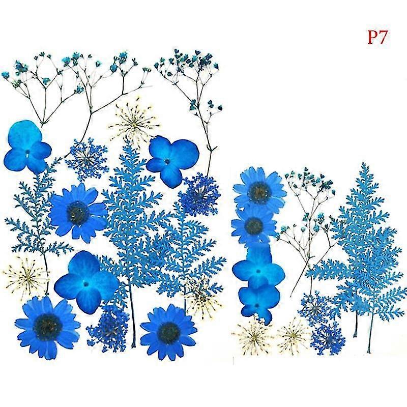 Preslenmiş Çiçekler Küçük Kurutulmuş Çiçekler Scrapbooking Diy Korunmuş Çiçek Dekoru