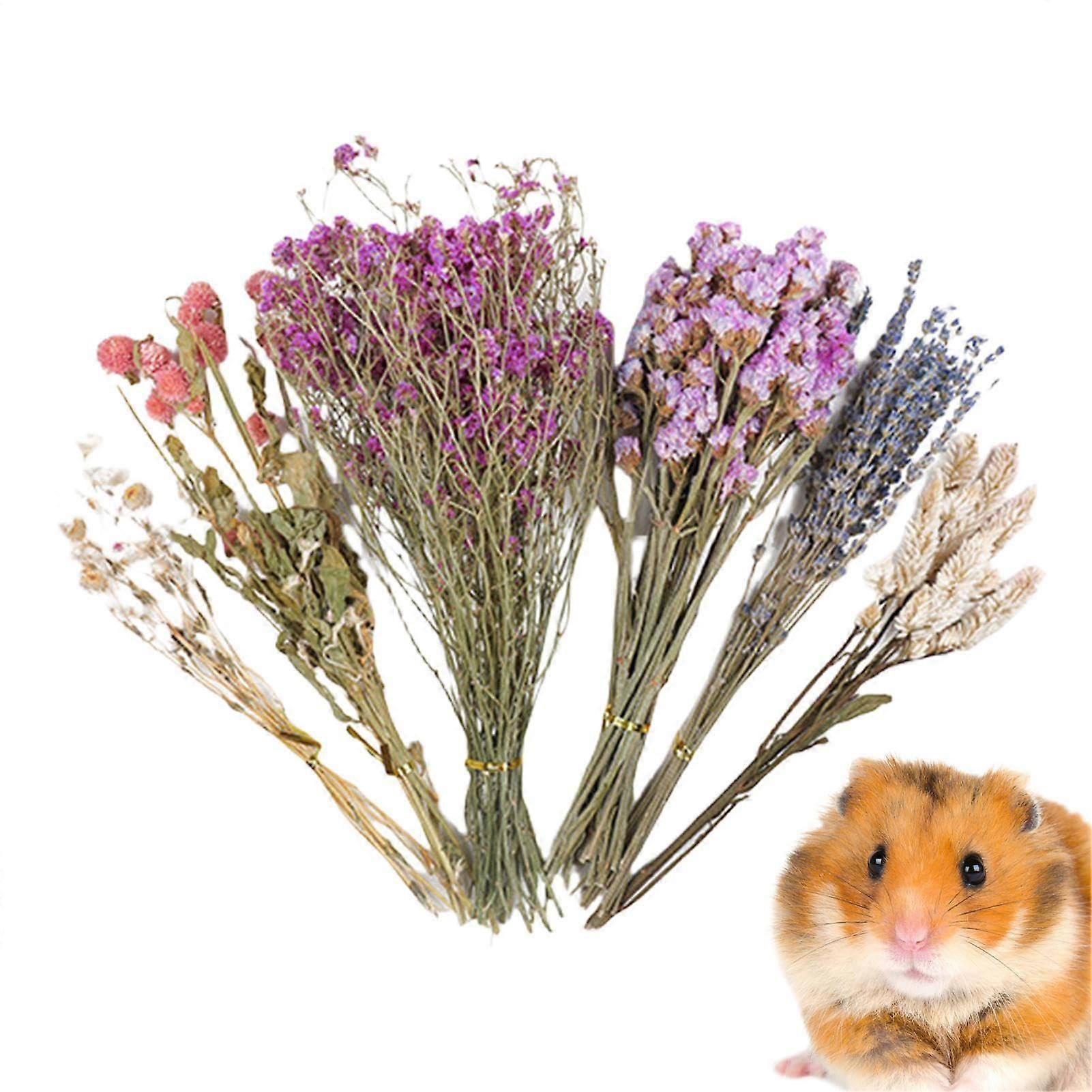 Hamster Flower Sprays - Natural Dried Bedding for Hamsters, Small Animal Habitat Decor, Compatible with Lemmings and Guinea Pigs, 1 Piece