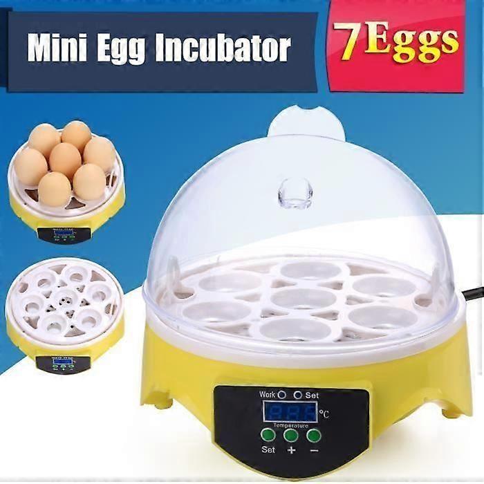 Incubator - Homdox Mini Incubator Capacity 7 Eggs Hatching Tool