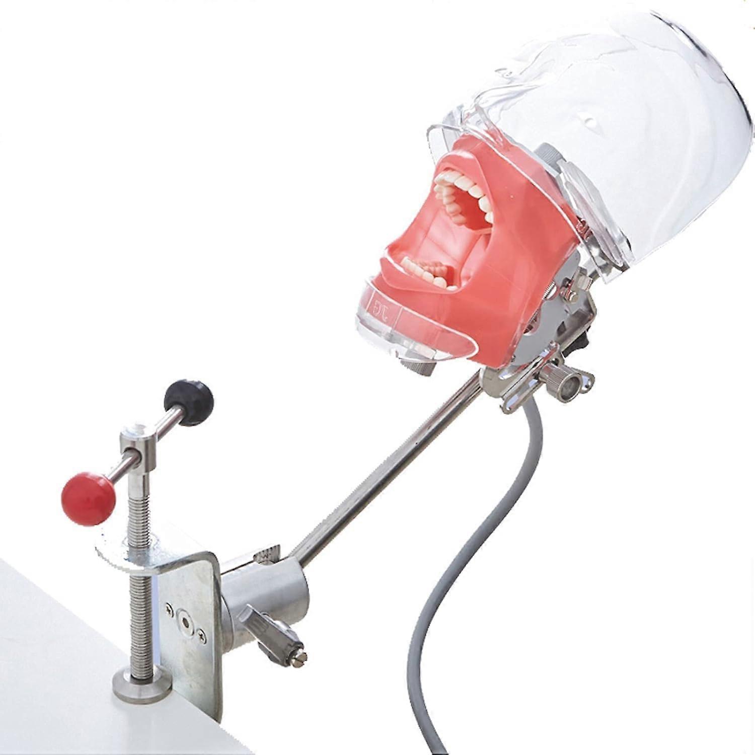 Dental Simulation Head Model With Detachable Teeth, Rotatable Head, ChairMountable ClipOn For Dental Teaching