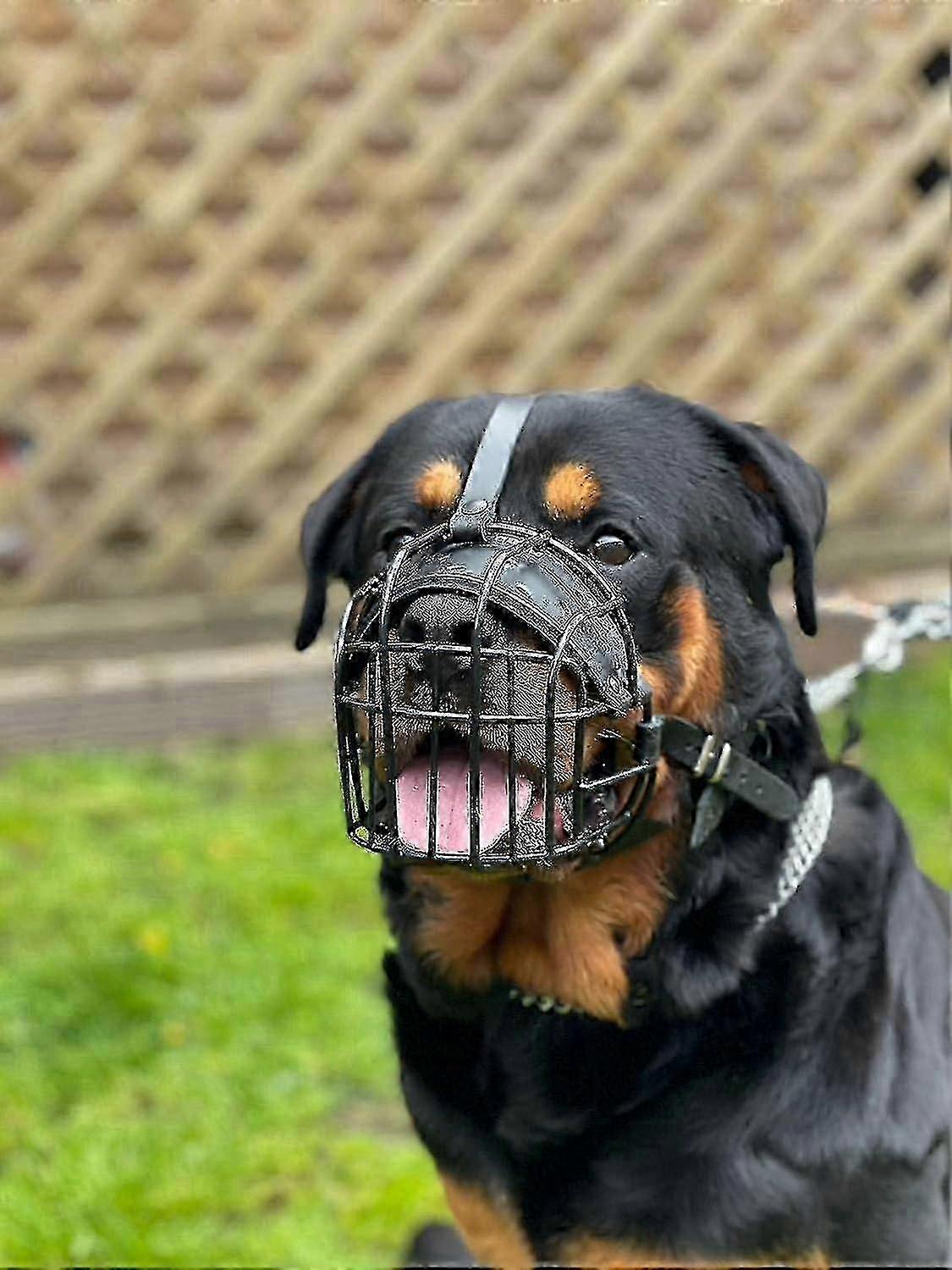 ロットワイラー、マスティフ、ゴールデンレトリバー、大型犬用強力ワイヤーメタル犬用マズルバスケット（ブラックレザー）