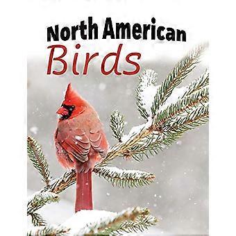 Nordamerikanische Vögel