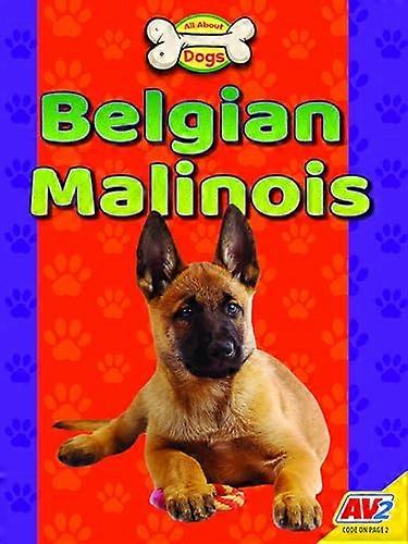 Belgian Malinois