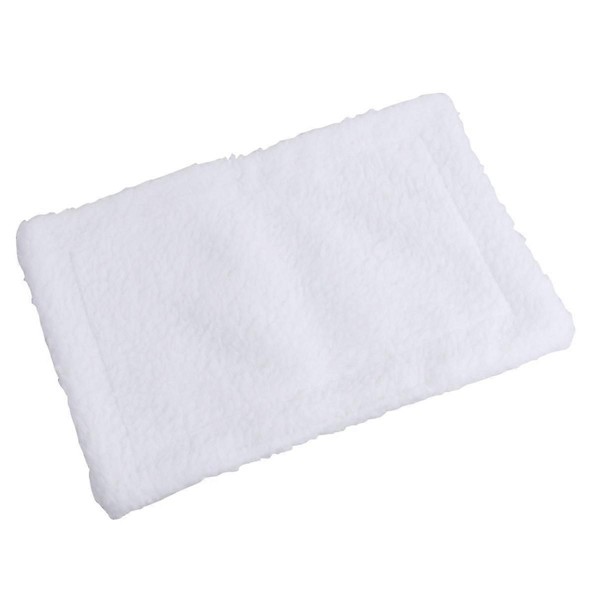 Sleep Mat Hamster Warm Cushion Compatible withWinter 2Pcs Durable Small Pet Pad