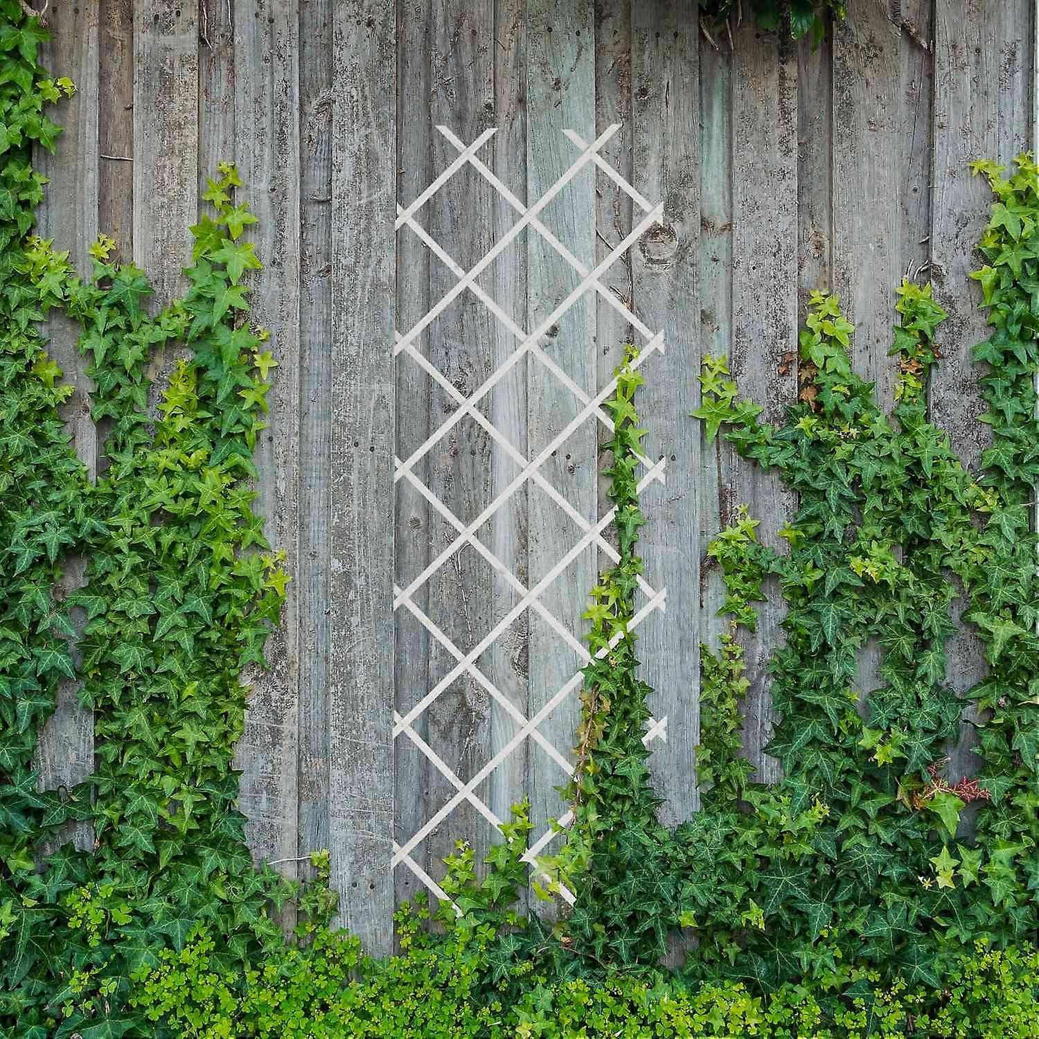 Extendable Plant Trellis Set, 180x60 cm, 3 Pack