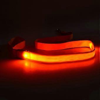 Set of 4 LED Dog Leash Rechargeable Waterproof Nylon for Night Walking Safety and Visibility for Large Medium Small Dogs  orange color 26-27