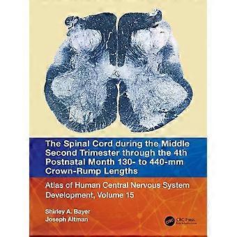 The Spinal Cord During The Middle Second Trimester Through The 4th Postnatal Mon - Shirley A. Bayer