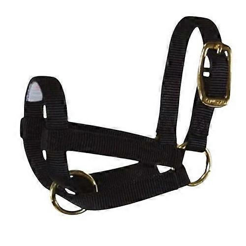 Hamilton Halter Livest Goat 3/4" Nanny Black, 1 Each
