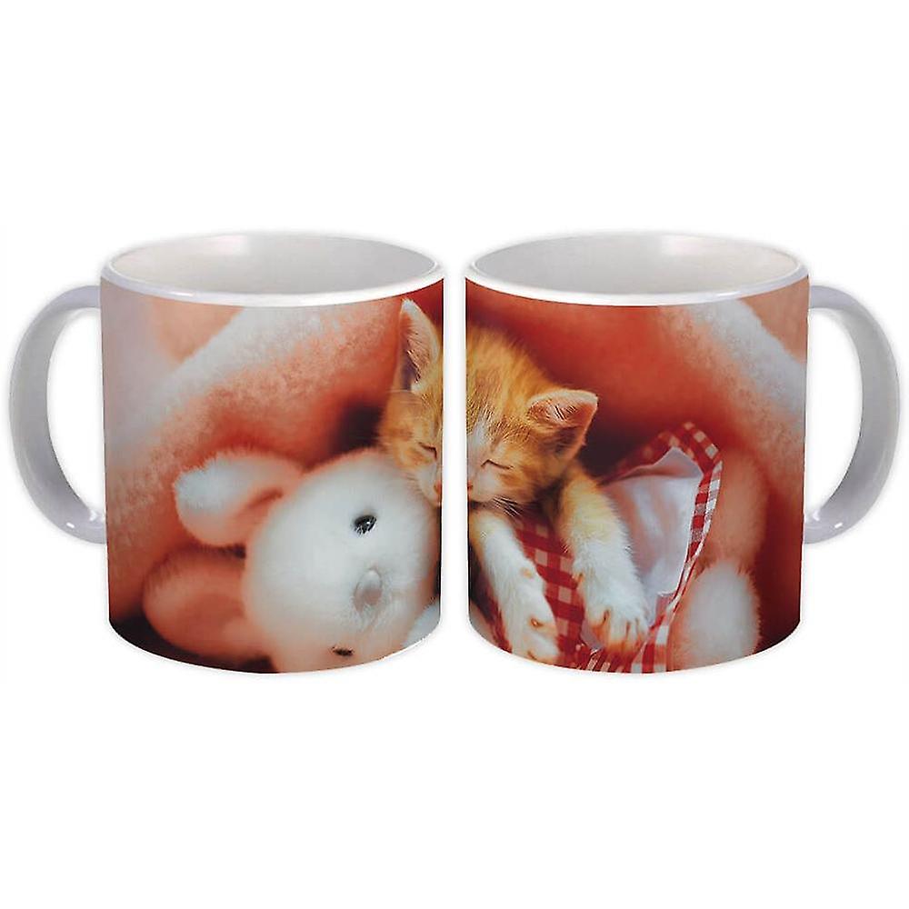 Taza de regalo: Cat Teddy