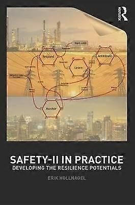 Safety-II in Practice