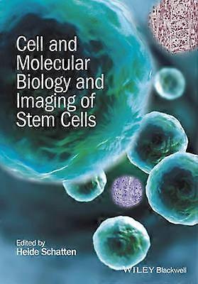 Biologia celulară și moleculară și imagistica celulelor stem