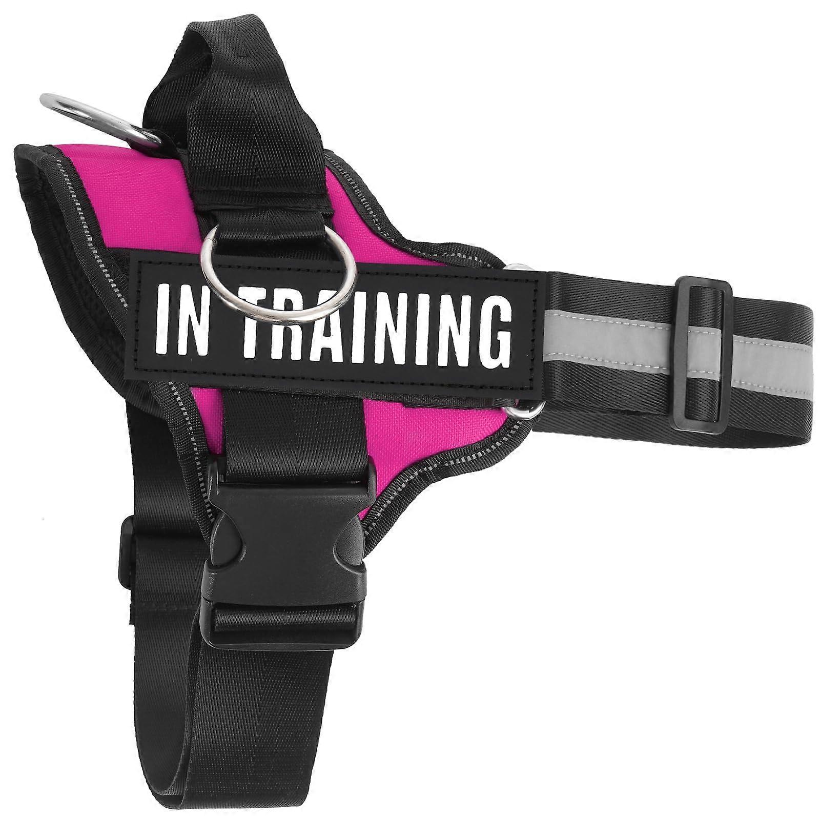 No-Pull Adjustable Comfortable Dog Harness for Walking and Training Small to Large Size