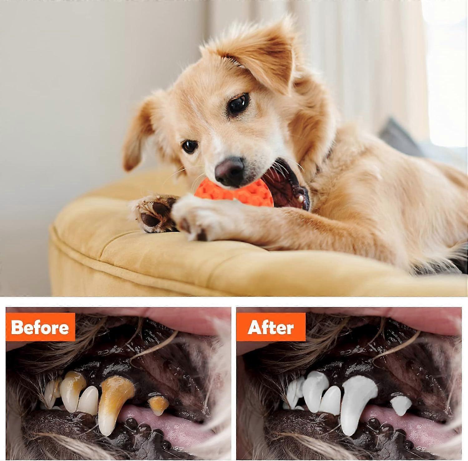 Practically Indestructible Squeaky Dog Toy