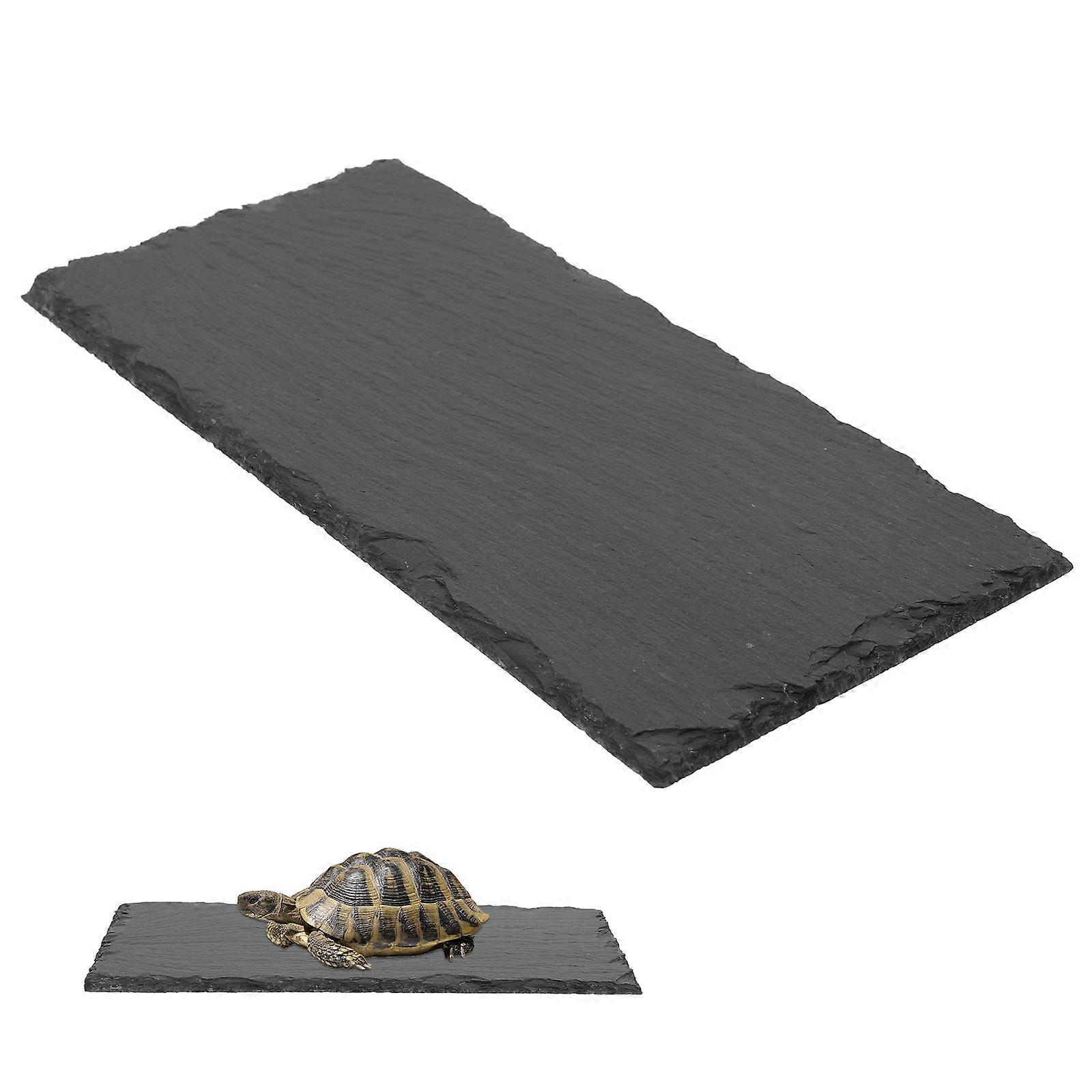 Reptile Feeding Plate Fodder Feeding Basin Stone Food Basin Tortoise Feeding Plate