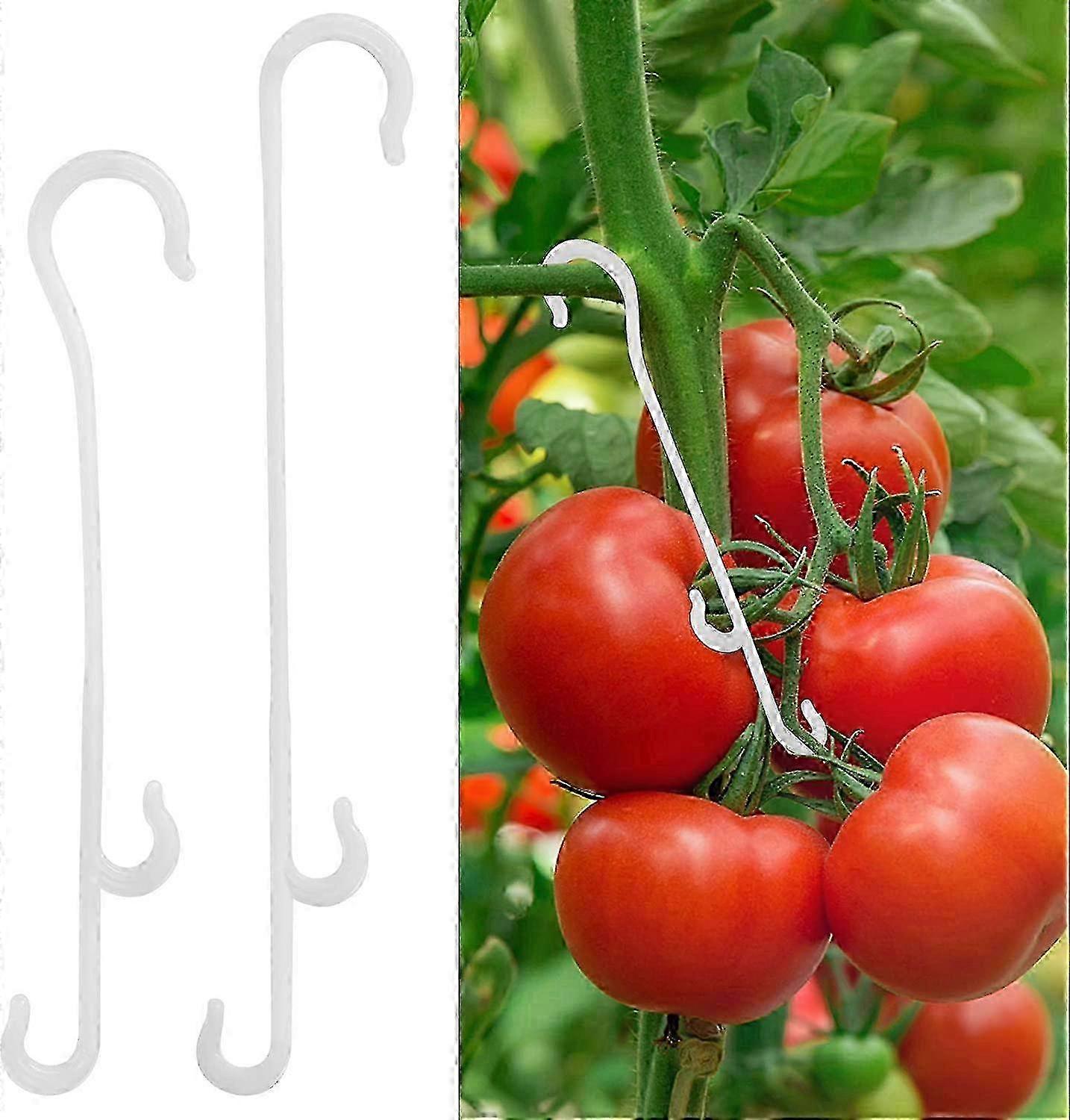 Tomato truss hooks 150pcs for plant support