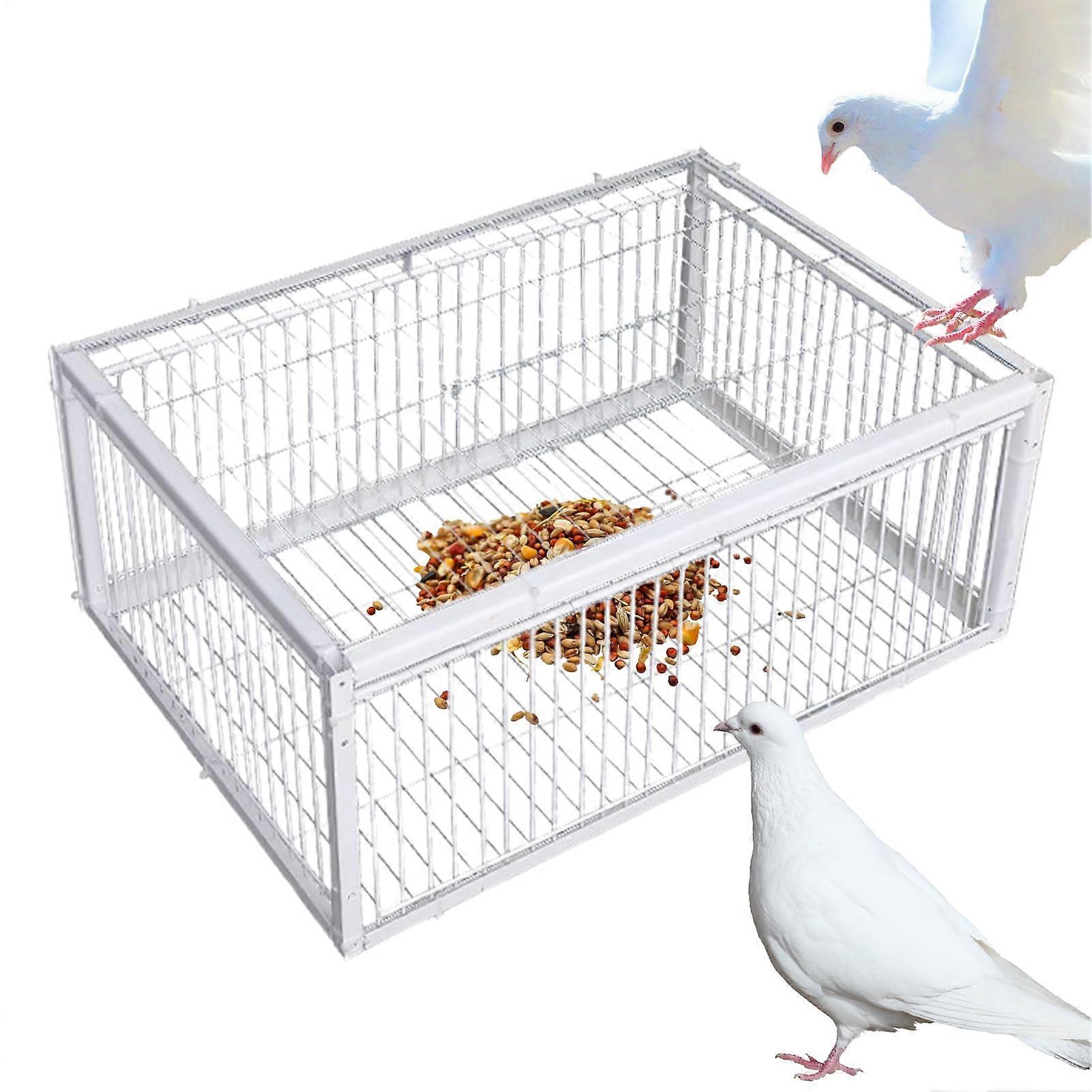 Catcher Cage For Bird Automatic EscapeProof Bird Trap Easy To Clean For Conures Parrots Cockatiels Budgies Macaws