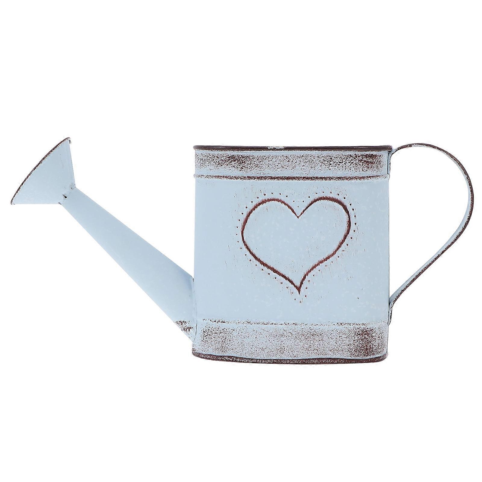 Eease Rustic Galvanized Watering Can for Plants and Flowers